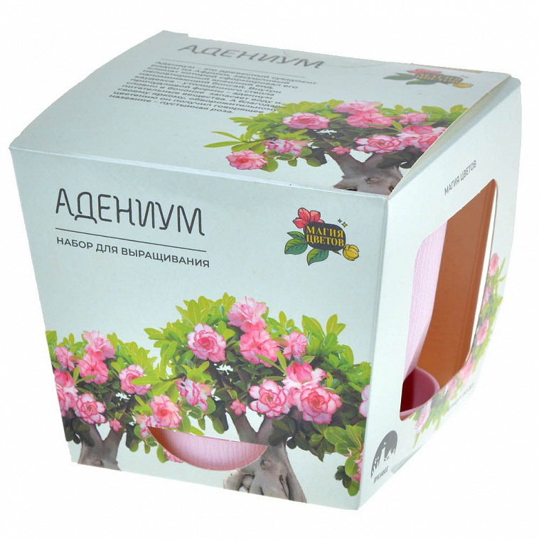 Набор для выращивания растений Магия цветов "Адениум"