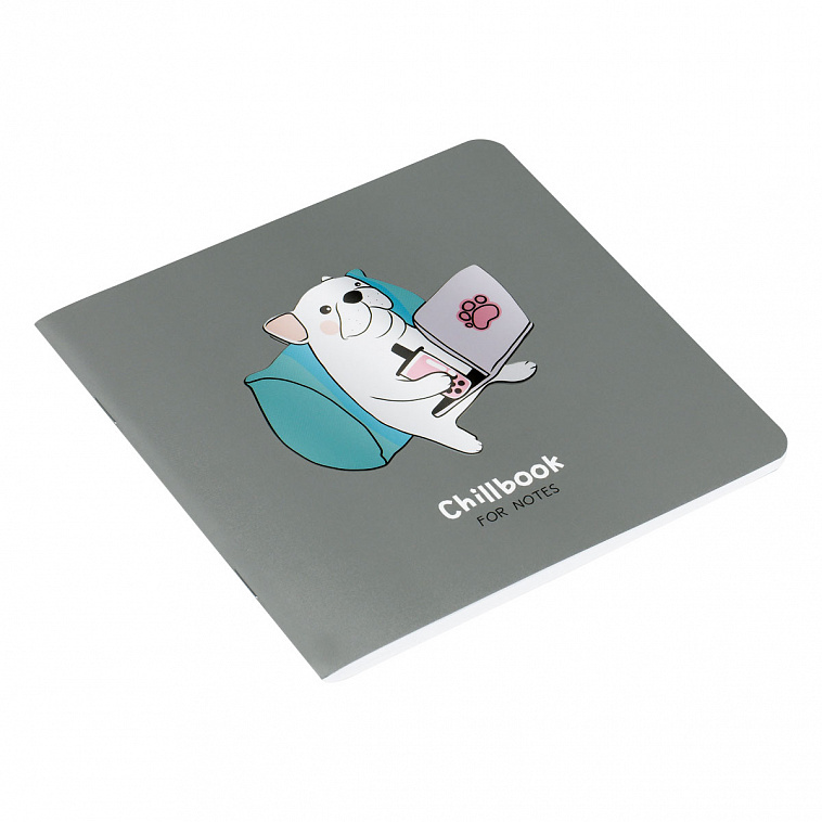 Записная книжка без линовки на скрепке MESHU "Chillbook" 170*170 мм 40 л 80 г