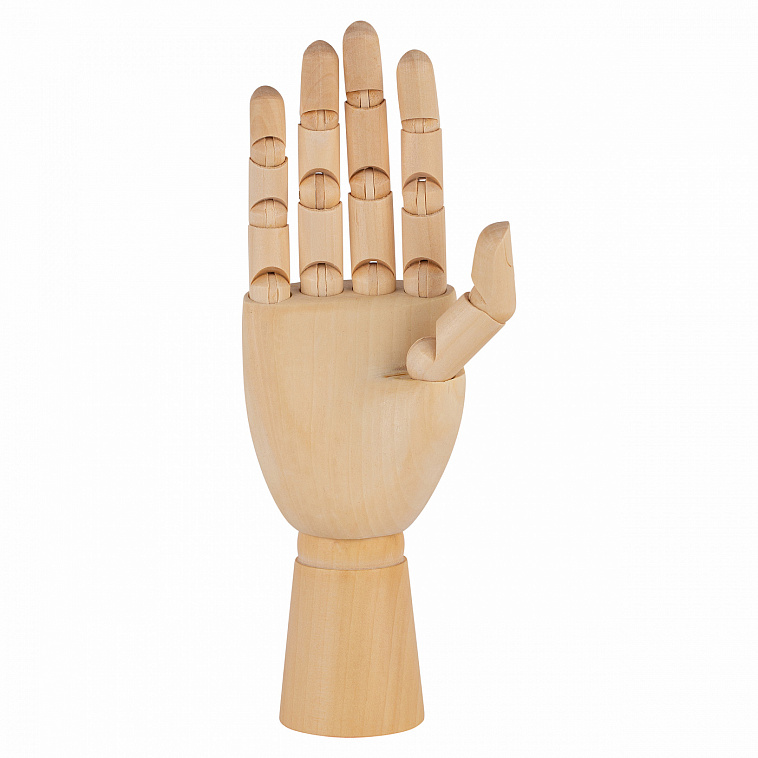 Модель "рука" 25 см, женская правая