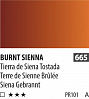 Акварель ShinHanart PWC extra fine 15 мл №665 Сиена жженая 1