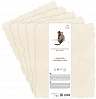 Бумага для акварели Лилия Холдинг лист 300 г Слоновая кость 40х60 см, 100% хлопок