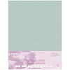 Бумага для пастели Clairefontaine "Pastelmat" 50x70 см, 360 г Светло-зеленый