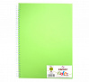 Блокнот для графики на спирали Canson "Notes" А4 50 л 120 г, обложка пластик. зеленая