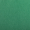 Бумага для пастели Clairefontaine "Etival color" 50x65 см, 160 г темно-зеленый