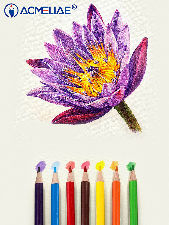 Набор карандашей стираемых цветных  Acmeliae 12 цв, картонном футляре