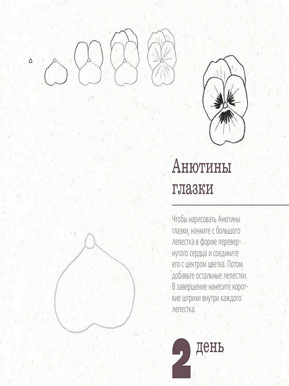 Книга "365 дней рисования. Пошаговые техники для начинающих художников" 606x758