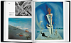 Книга "Salvador Dali, The Paintings" 3