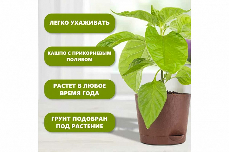 Набор для выращивания растений "Plant Republic", "Три острых перца"