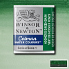 Акварель Winsor&Newton "Cotman" в кювете Хуккер зеленый темный 1