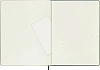 Записная книжка в клетку Moleskine "Classic" XLarge 19х25 см 192 стр, твердая обложка зеленая 2