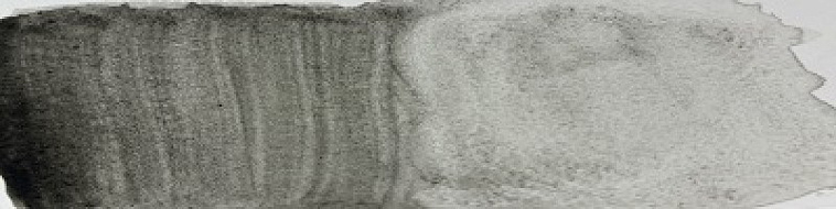 Пигмент "Минеральные пигменты" банка 50 г Габбро 606x758