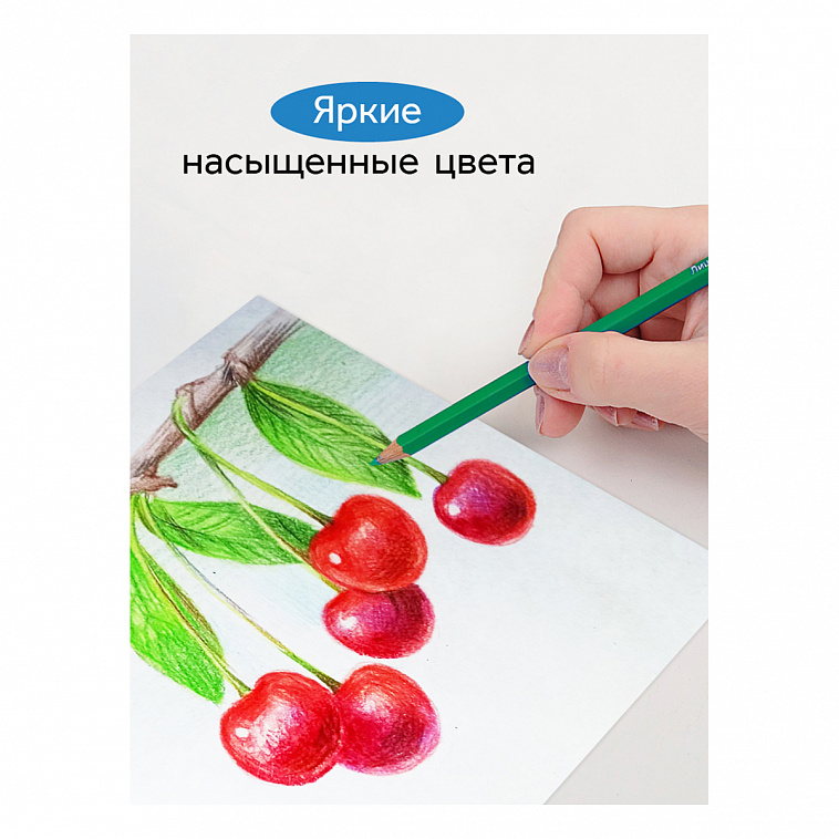 Набор карандашей цветные Гамма "Классические", 18 цв., заточен., картон. упаковка, европодвес 606x758