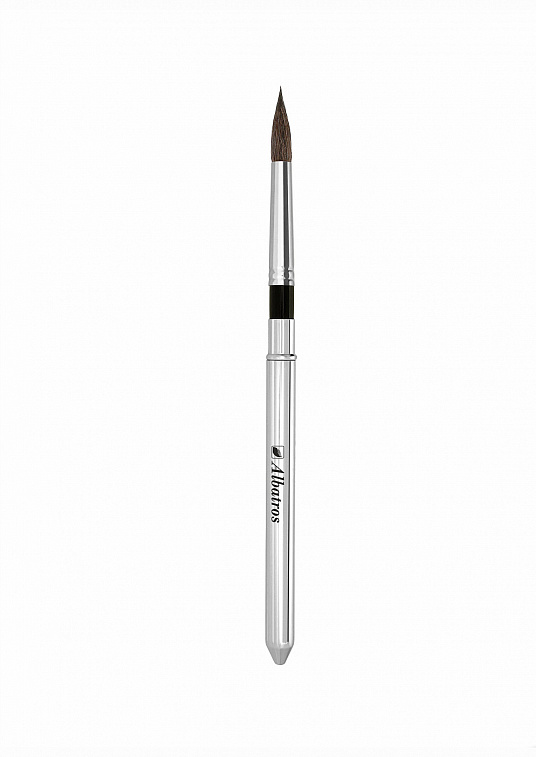 Кисть белка №6 круглая Альбатрос, в футляре 606x758
