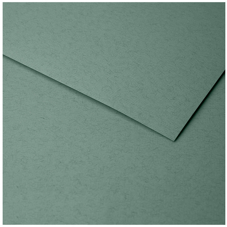 Бумага для пастели Clairefontaine "Ingres" 50x65 см, 130 г зеленая вода  606x758