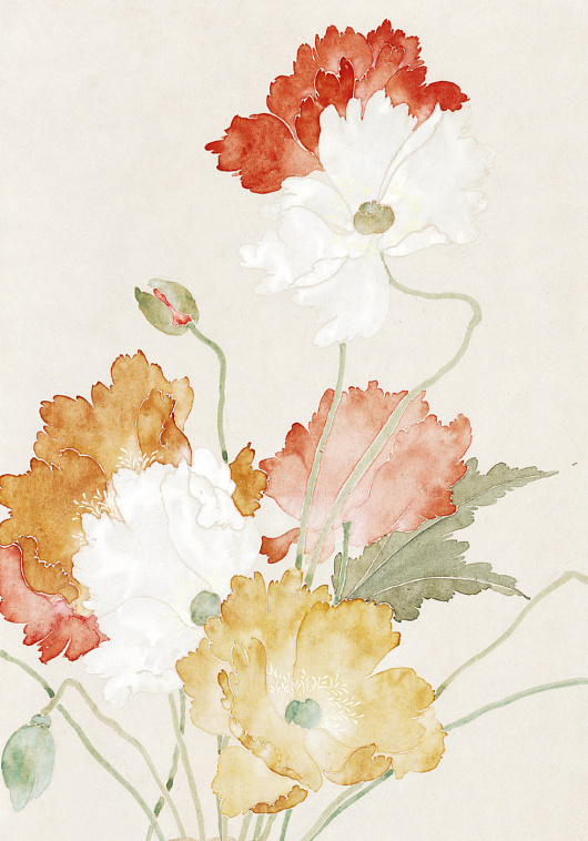 Тетрадь Сумерки. Полевые цветы 1 606x758