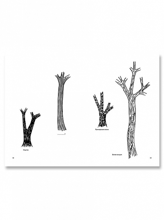 Книга "Рисуем дерево" Мунари