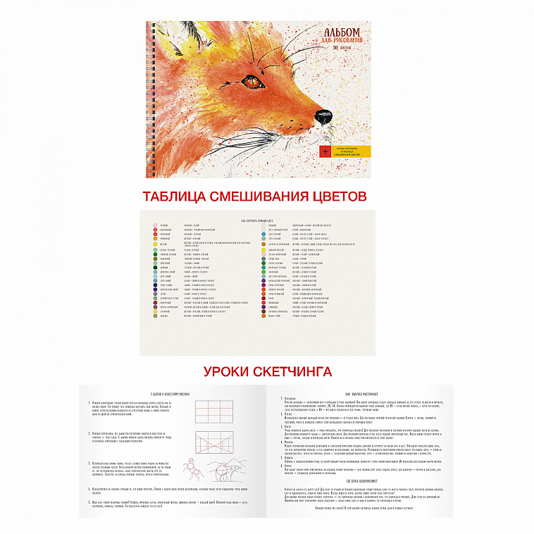 Альбомы для рисования "Лисица" 30 л 120 г, 1 л с советами по скетчингу 606x758