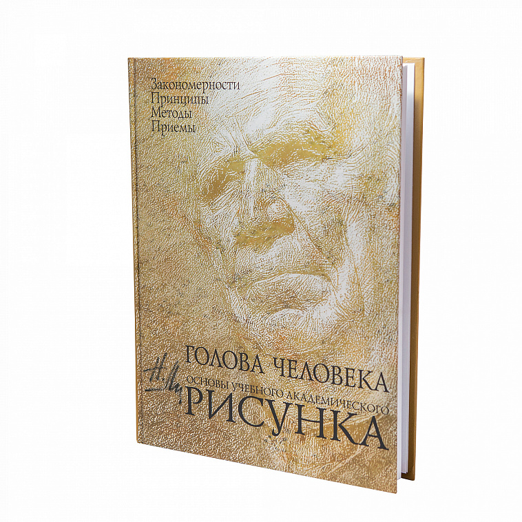 Голова человека основы учебного академического рисунка читать