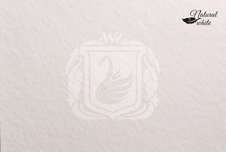 Бумага для акварели "White Swan" Torchon 50х70 см 250 г 10% хлопка 1 лист