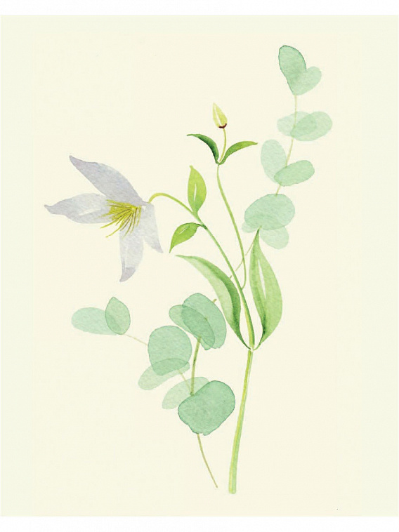 Книга "Botanical painting. Вдохновляющий курс рисования акварелью" 606x758
