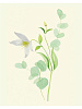 Книга "Botanical painting. Вдохновляющий курс рисования акварелью" 8