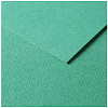 Бумага цветная Clairefontaine "Tulipe" 50х65 см 160 г, легкое зерно, темно-зеленый
