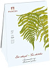 Планшет для эскизов Лилия Холдинг "Ботанический сад" Папоротник 21х29,7 см 30 л