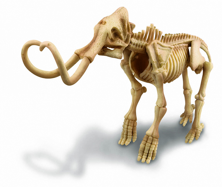 Набор научно-познавательный 4М "Скелет Мамонта"