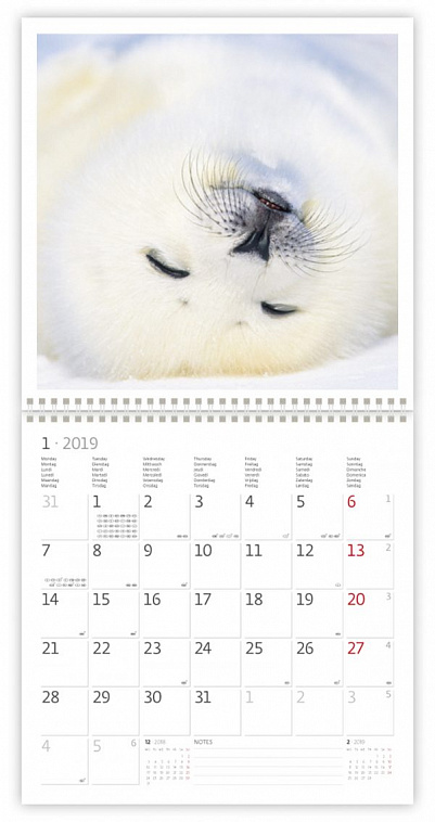 Календарь 2019 КО: White (Белый) 
