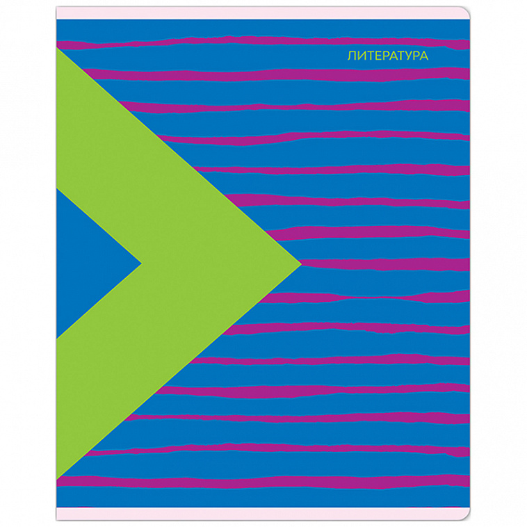 Тетрадь предметная MESHU "Bright splash" 48 л - Литература 606x758