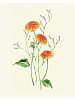 Книга "Botanical painting. Вдохновляющий курс рисования акварелью" 9