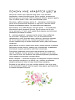 Книга "Botanical painting. Вдохновляющий курс рисования акварелью" 3