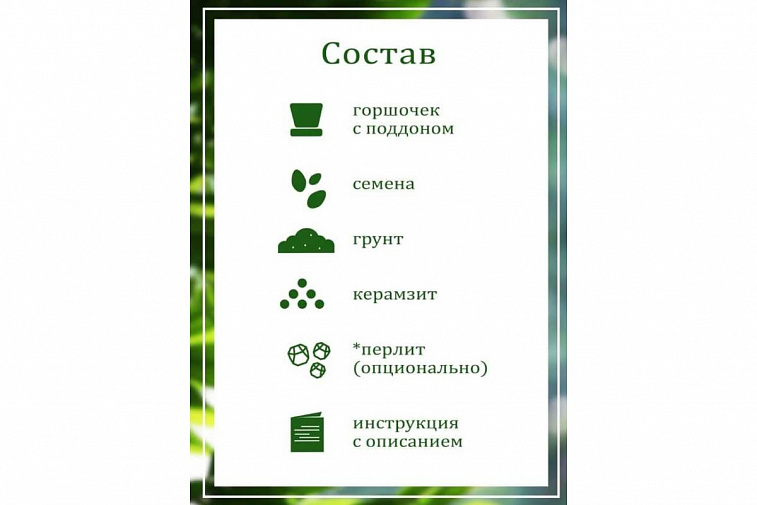 Набор подарочный для выращивания растений "Вырасти, Дерево!", "Глоксиния гибридная".