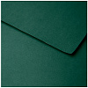 Бумага для пастели Clairefontaine "Ingres" 50x65 см, 130 г глубокий зеленый