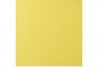 Бумага для пастели Lana "COLOURS" 21x29,7 см 160 г светло-желтый 