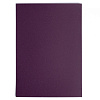 Бумага для пастели Малевичъ GrafArt А4 270 г, фиолетовая