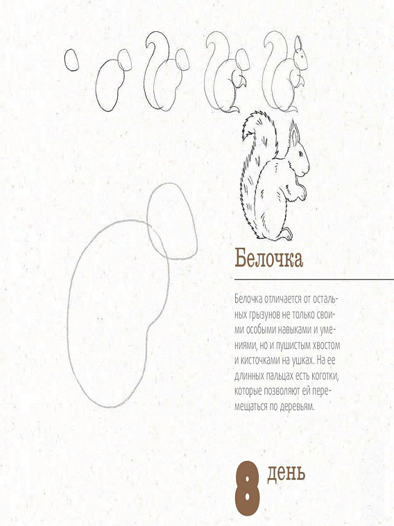 Книга "365 дней рисования. Пошаговые техники для начинающих художников" 606x758