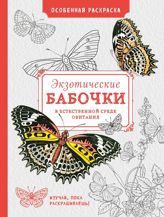 Книга "Особенная раскраска. Экзотические бабочки"