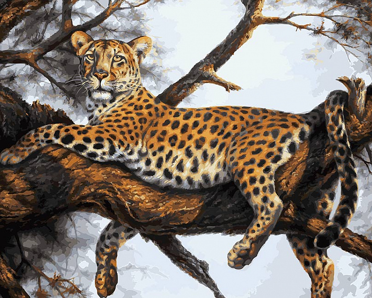 Набор для живописи по номерам 40х50 см "Леопард на отдыхе"