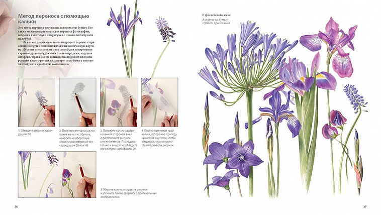 Книга "Ботанические портреты. Практическое руководство по рисованию акварелью" Билли Шоуэлл