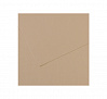 Бумага для пастели Canson "MI-TEINTES" 21x29,7 см 160 г №343 серо-бежевый