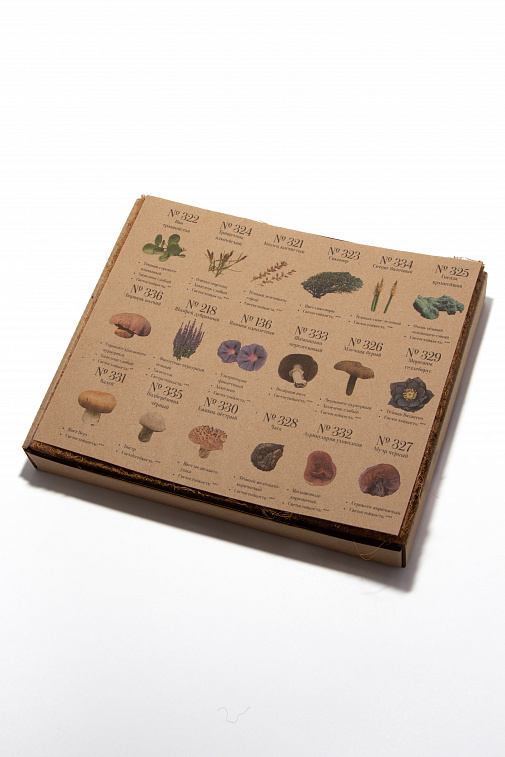 Набор пастели сухая, мягкая ручной работы EARTHBERRY "Лунное затмение", 18 цветов 606x758