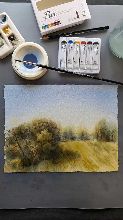 Набор акварели ShinHan "PWC" 6 цв. по 7,5 мл, Земля, в картонной упаковке 606x758