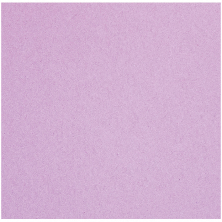 Папка для пастели Лилия Холдинг "Палаццо Фуксия" А4 10 л 200 г 606x758