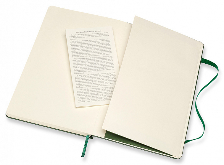 Записная книжка в клетку Moleskine "Classic" Large 13х21 см 240 стр, твердая обложка зеленая