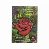 Планшет для акварели Лилия Холдинг "Алая роза" А2 20 л 200 г скорлупа 1