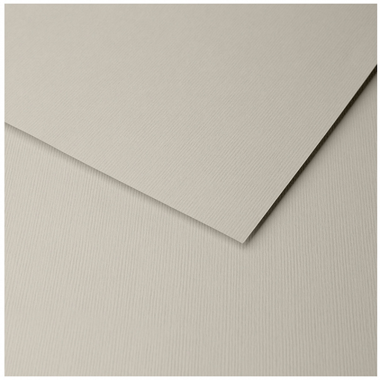 Бумага для пастели Clairefontaine "Ingres" 50x65 см, 130 г металлик