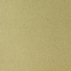 Бумага для пастели Sennelier "Pastel Card" 50*65 см 360 г, светло-зеленый 1