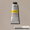Акрил Winsor&Newton "Galeria" 60 мл Бледная умбра   1