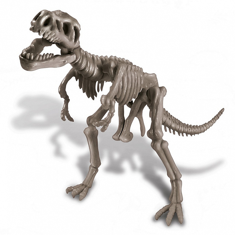 Набор научно-познавательный 4М "Скелет Тираннозавра"